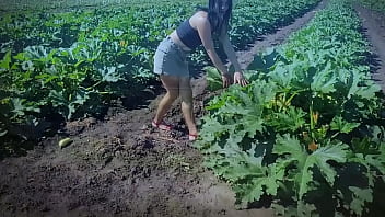Traktoris Nyaris Jatuh Ke Jurang Saat Lihat Syuting Film Porno Di Ladang Zukini