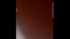 Bokep Indo Live
