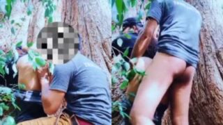 Video Mesum Pasangan Ngentot Di Bawah Pohon Gede, Bikin Basah Lihatnya.
