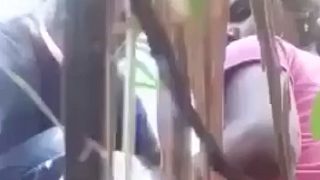 Bercinta Liar Di Ladang Tebu, Pasangan Desa Makin Panas