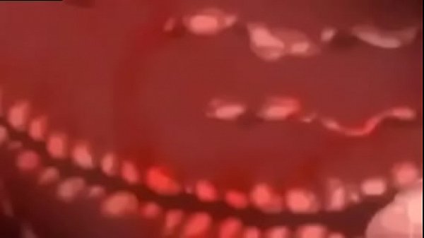 Anime Otak Wajib Nonton, Nih Tontonan Hot Buat Kamu